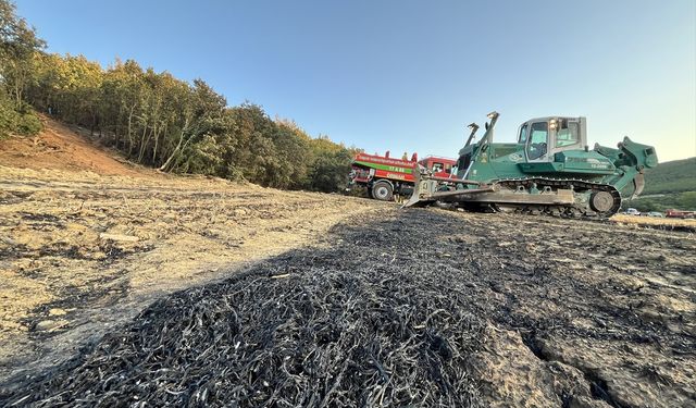 Edirne'de ormanlık alanda çıkan yangın söndürüldü