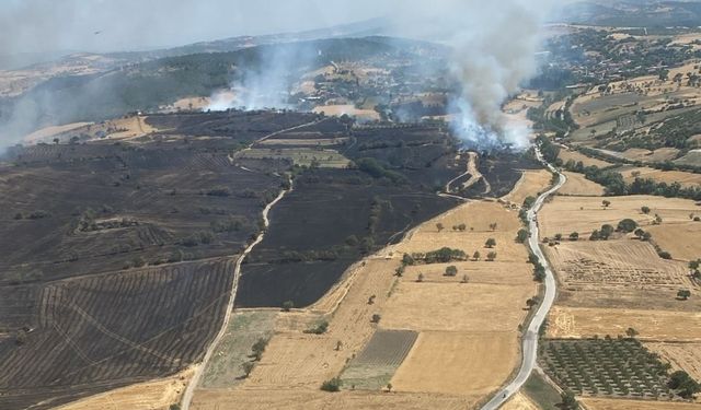 GÜNCELLEME 2 - Balıkesir'de tarım arazisindeki yangın kontrol altına alındı