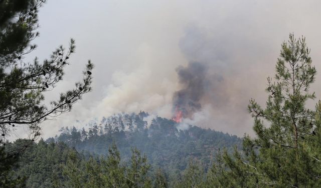 GÜNCELLEME 2 - Bursa'da çıkan orman yangınına müdahale ediliyor