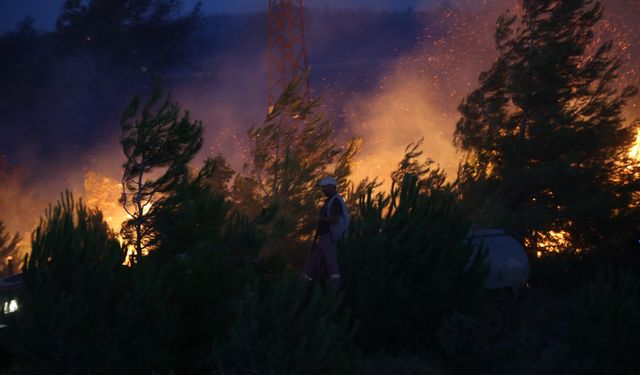 GÜNCELLEME 2 - Çanakkale'de tarım arazisinde çıkan yangın kısmen kontrol altına alındı