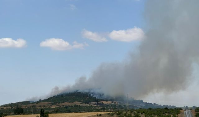 GÜNCELLEME - Balıkesir'de orman yangınına müdahale ediliyor