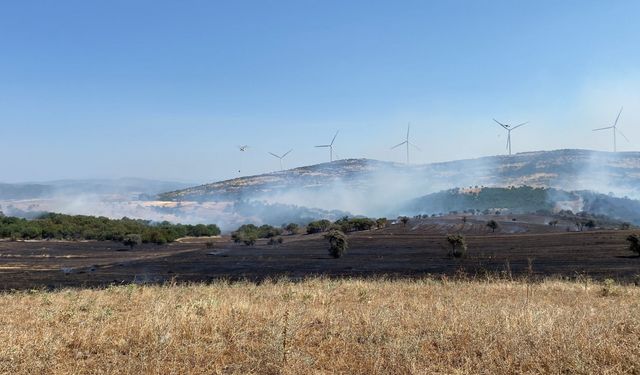 GÜNCELLEME - Balıkesir'de tarım arazisinde çıkan yangın kontrol altına alındı