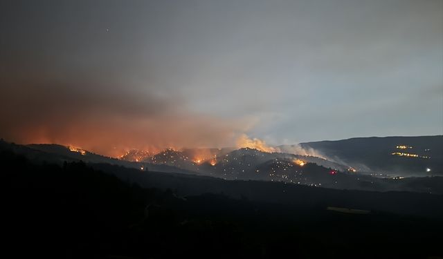 GÜNCELLEME - Bursa-Balıkesir il sınırında ormanlık alanda etkili olan yangına müdahale ediliyor