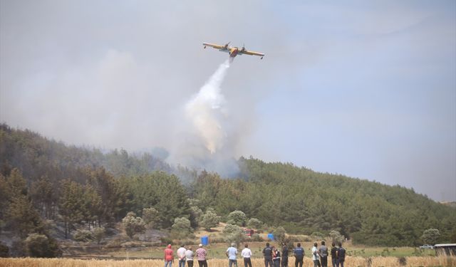 GÜNCELLEME - Çanakkale'de ormanlık alanda çıkan yangın kontrol altına alındı