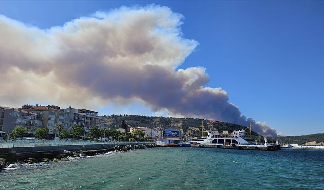 GÜNCELLEME - Çanakkale'deki orman yangını nedeniyle bir köy tedbiren boşaltıldı