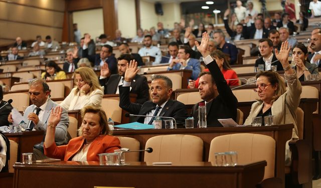 İBB Meclisinde sahipsiz köpeklerle ilgili soru önergesi verildi