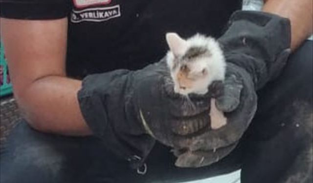 Kırklareli'nde su borusunda sıkışan kedi yavrusunu itfaiye ekipleri kurtardı