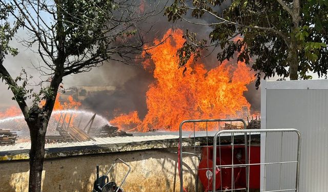 Kocaeli'de palet fabrikasında çıkan yangına ekiplerce müdahale ediliyor