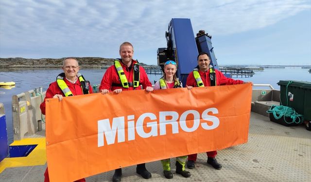 Migros, Norveç somonu alımlarını üçe katlamayı planlıyor