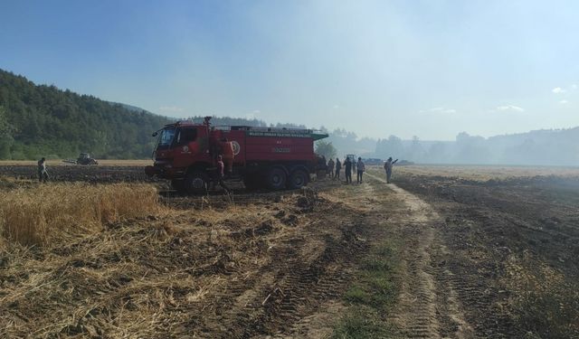 Osmaneli'de 20 dönüm buğday tarlası yandı