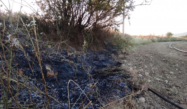 Osmaneli'de elektrik tellerine çarpan kuşun neden olduğu arazi yangını söndürüldü