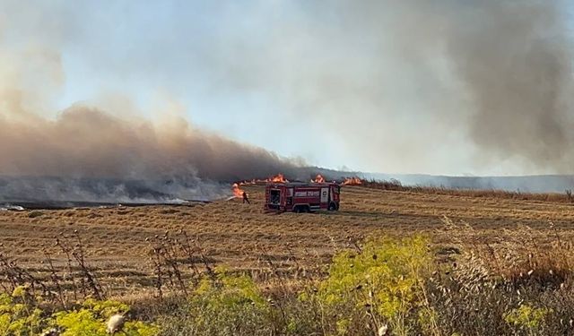 Silivri'de çıkan anız ve çöplük yangınları söndürüldü