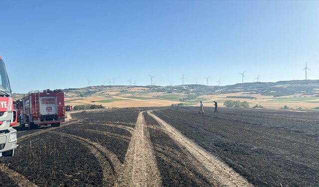 Silivri'de ormana sıçrayan anız yangını söndürüldü