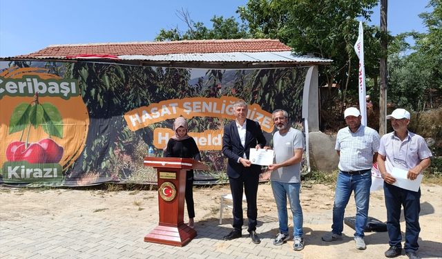 Tadıyla ünlü Enez Çeribaşı kirazının hasat sezonu başladı