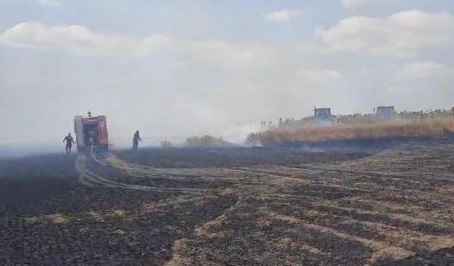 Tekirdağ'da 600 dekarlık buğday ekili alan yandı