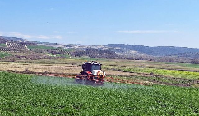 Bursa Mudanya'da süneyle kimyasal mücadele başladı