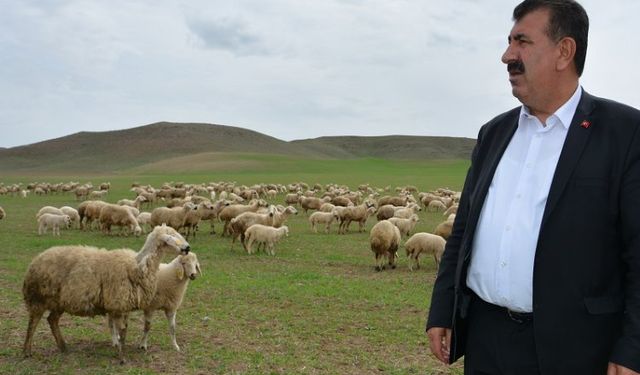 Çevre sorunları küçükbaş hayvancılığı olumsuz etkiliyor