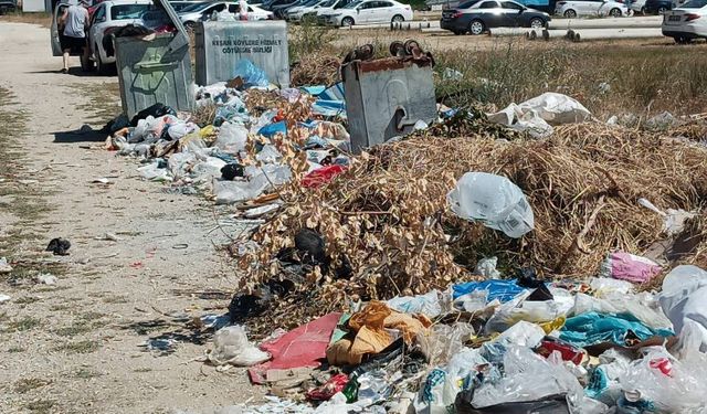 Edirne Keşan sahillerinde sezon açıldı... Ancak!