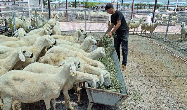 “Kayseri'de bir numara Talas Belediyesi”