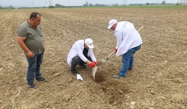 Kocaeli'de çiftçilere ücretsiz toprak analizi