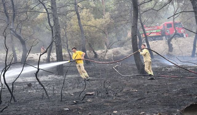 Manisa İtfaiyesi'nin yangın mücadelesi sürüyor