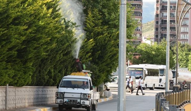 Tokat’ta sivrisinek, larva ve uçkun ile mücadele