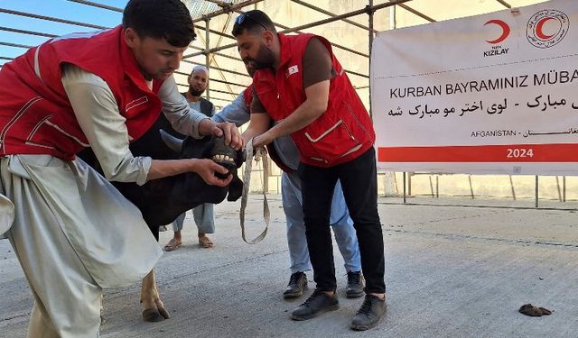 Türk Kızılay'ın kurban kesimleri 19 ülkede sürüyor