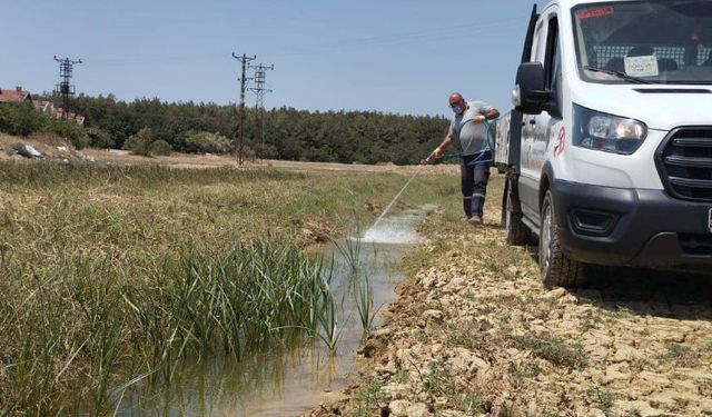 Veterinerlik İşleri Müdürlüğü larvasit mücadelesini sürdürüyor