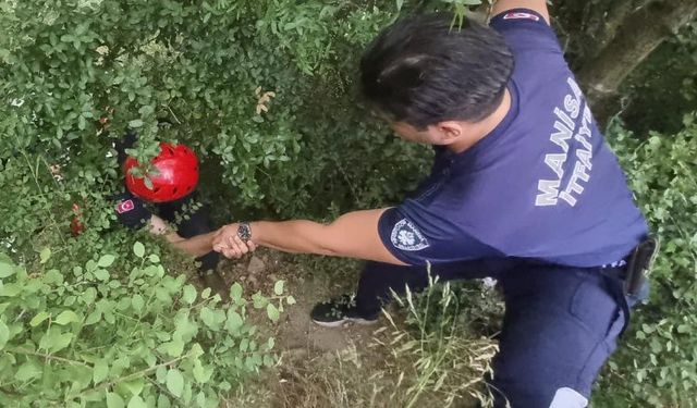 Yamaçtan aşağı düşen vatandaşı itfaiye ekipleri kurtardı