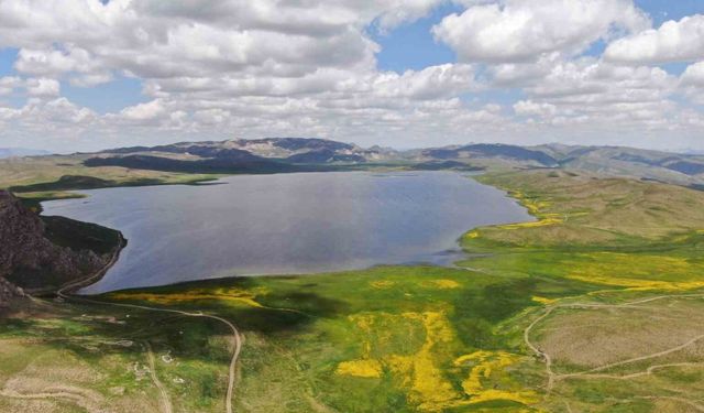 2 bin 800 yıllık Keşiş Gölü eski günlerine kavuşuyor