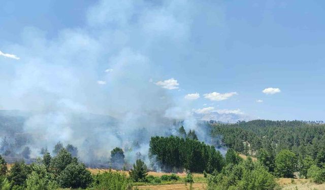 Adana’da orman yangını