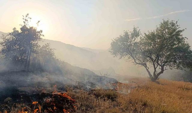 Afyonkarahisar’ın Hıdırlı Tepesi mevkiindeki ormanlık alanda yangın çıktı. İtfaiye ekiplerinri yangına yoğun müdahalesi sürüyor.