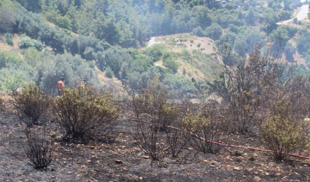 Alanya’da otluk olan yangını itfaiye ekiplerince söndürüldü