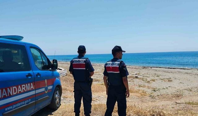 Alanya’da yeşil deniz kaplumbağası ve caretta carettaların yuvalanma bölgeleri kontrol edildi