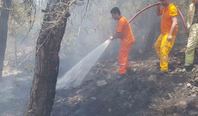 Alanya’daki orman yangını büyümeden kontrol altına alındı