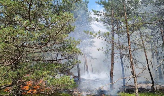 Amasya’da korkutan orman yangını