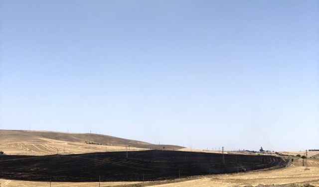 Ankara’da 100 dekarlık buğday tarlası yangını