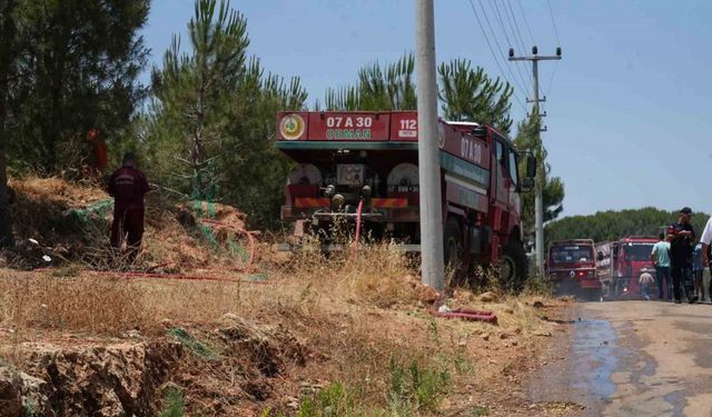 Antalya’da çıkan orman yangını ekipler ve vatandaş işbirliğiyle söndürüldü