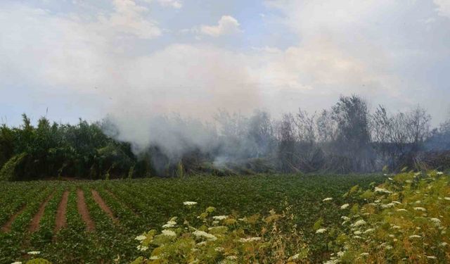 Antalya’da çıkan yangın ağaçlara sıçradı, vatandaş korkuya kapıldı