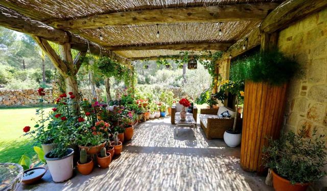 Antalya’nın en güzel bahçe, balkon ve terası belli oldu