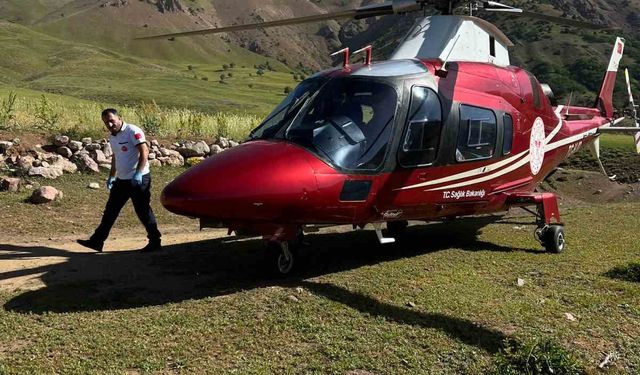 Arı sokması sonucu bilinç kaybı yaşayan hasta, ambulans helikopterle Erzurum’a sevk edildi