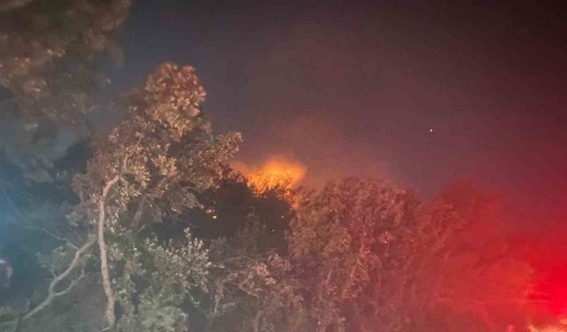 Ayvacık’ta orman yangını: 1 köy boşaltıldı