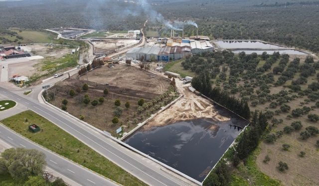 Ayvalık Belediyesi davayı kazandı: Çevreyi kirleten fabrikanın lisansına iptal kararı