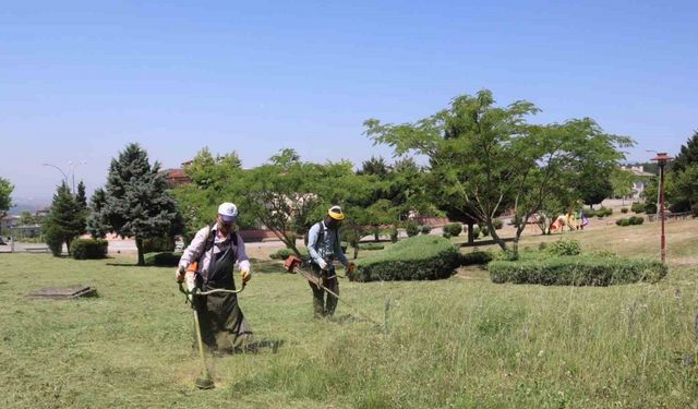 Bahçeşehir bölgesinde mesire alanları otlardan temizlendi