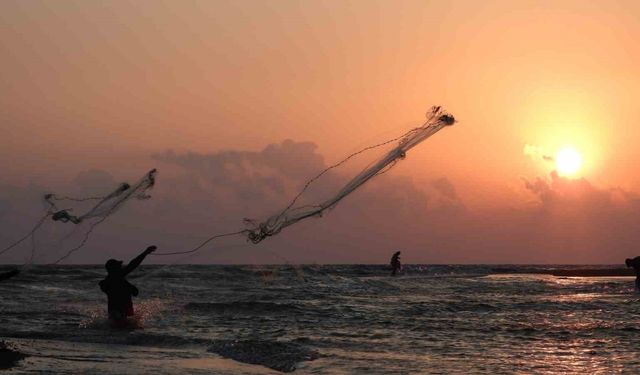 Balıkçıların gün batımında balık mesaisi