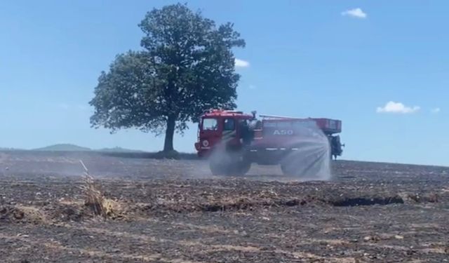 Balıkesir’de tarla yangını: 35 ton buğday kül oldu