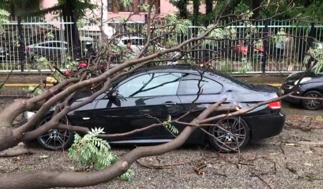 Başkentte fırtına sonucu bir aracın üzerine ağaç devrildi