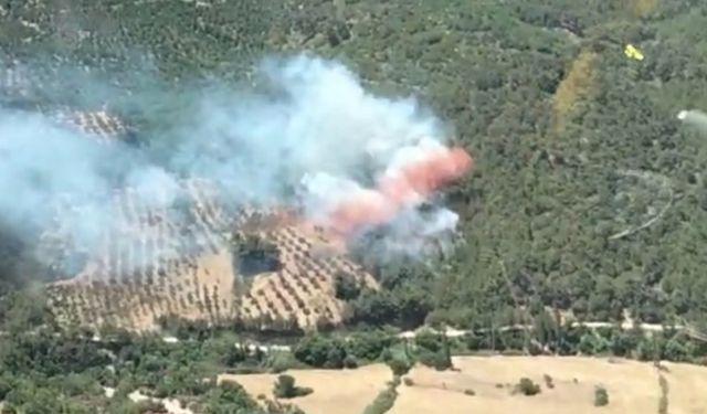 Bergama’daki orman yangınında bir mahalle tahliye edildi