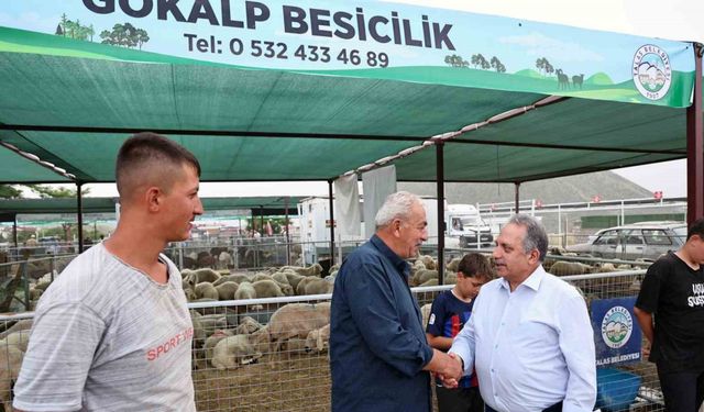 Besiciler Başkan Yalçın’a teşekkür etti: "Bu konfor İstanbul’da yok"