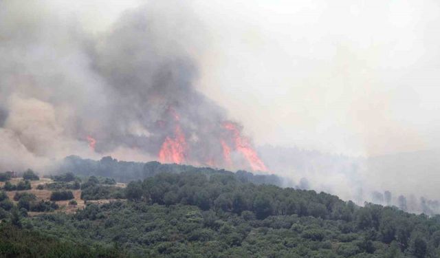 Biçerdöver kaynaklı yangın ormana sıçradı